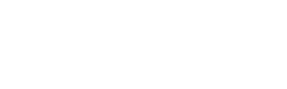 vice-logo.webp